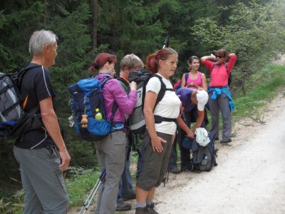 Kliknite za ogled večje slike