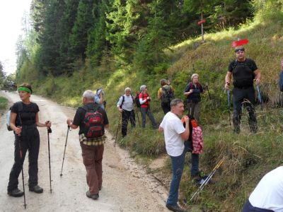 Kliknite za ogled večje slike