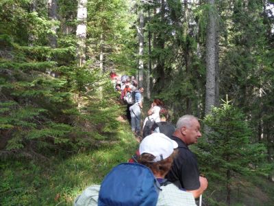 Kliknite za ogled večje slike
