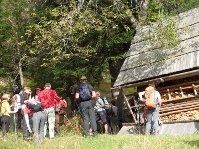 Kliknite za ogled večje slike
