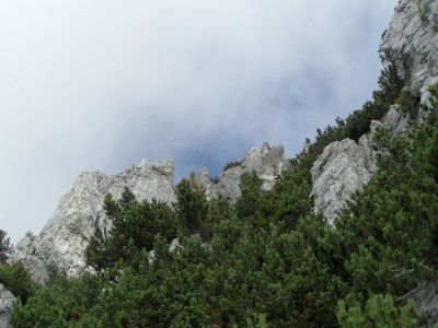 Kliknite za ogled večje slike