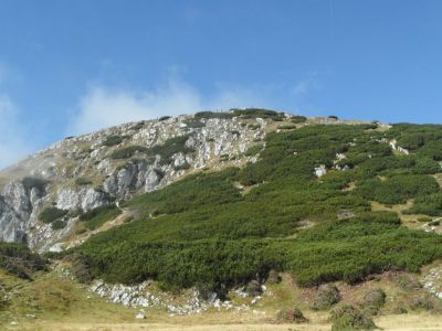 Kliknite za ogled večje slike
