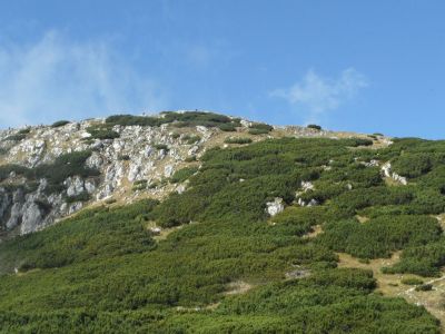 Kliknite za ogled večje slike