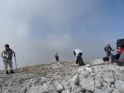 Kliknite za ogled večje slike