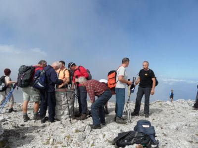 Kliknite za ogled večje slike