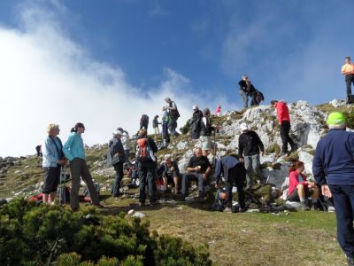 Kliknite za ogled večje slike