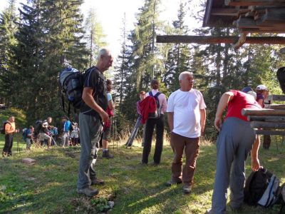 Kliknite za ogled večje slike