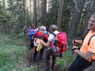 Kliknite za ogled večje slike