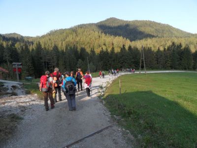 Kliknite za ogled večje slike