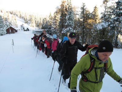 Kliknite za ogled večje slike
