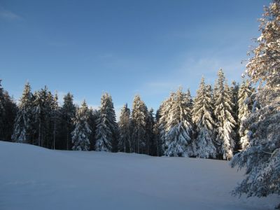 Kliknite za ogled večje slike