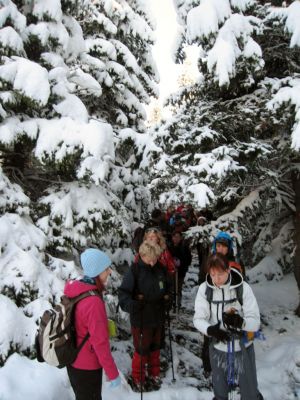 Kliknite za ogled večje slike