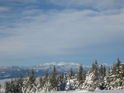 Kliknite za ogled večje slike