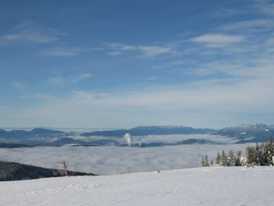 Kliknite za ogled večje slike