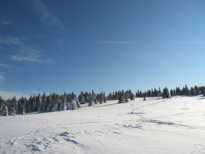 Kliknite za ogled večje slike