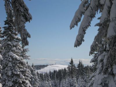 Kliknite za ogled večje slike