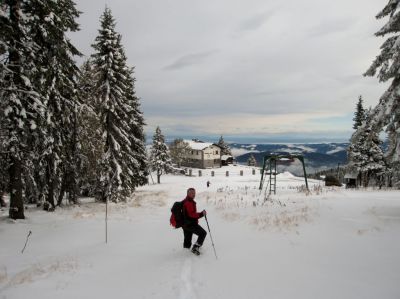 Kliknite za ogled večje slike