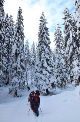 Kliknite za ogled večje slike