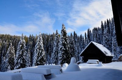 Kliknite za ogled večje slike