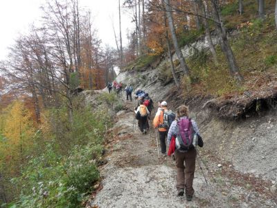 Kliknite za ogled večje slike