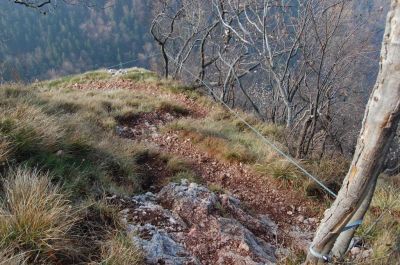 Kliknite za ogled večje slike