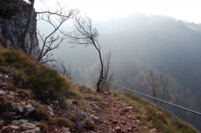 Kliknite za ogled večje slike