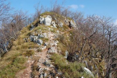Kliknite za ogled večje slike