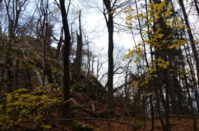 Kliknite za ogled večje slike