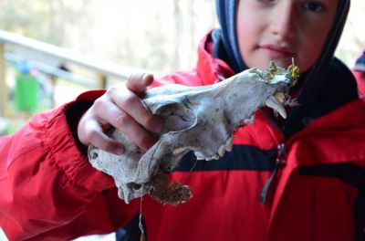 Kliknite za ogled večje slike