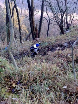 Kliknite za ogled večje slike