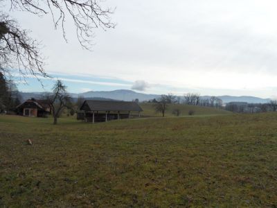 Kliknite za ogled večje slike