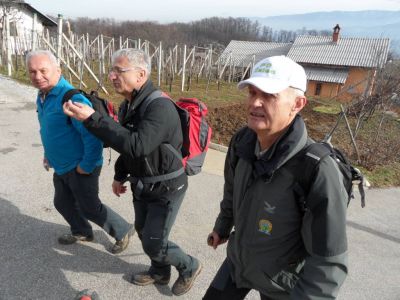 Kliknite za ogled večje slike