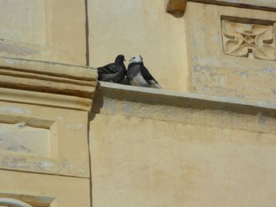 Kliknite za ogled večje slike