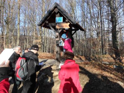 Kliknite za ogled večje slike