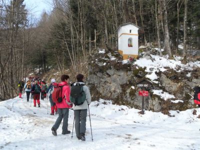 Kliknite za ogled večje slike