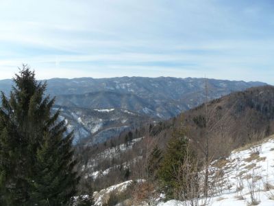 Kliknite za ogled večje slike