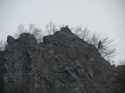 Kliknite za ogled večje slike