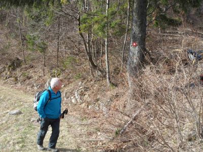 Kliknite za ogled večje slike