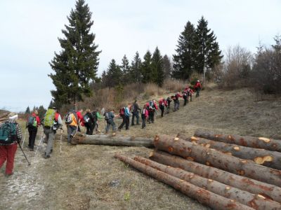 Kliknite za ogled večje slike
