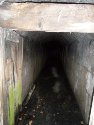 Kliknite za ogled večje slike