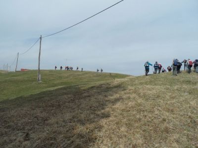 Kliknite za ogled večje slike