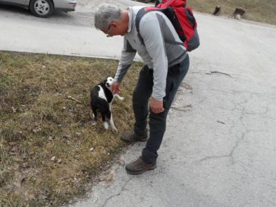 Kliknite za ogled večje slike