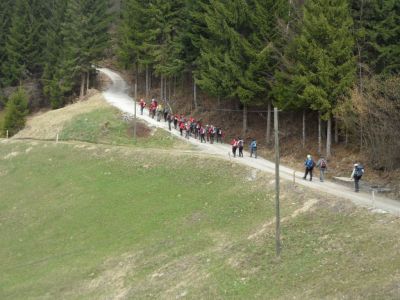Kliknite za ogled večje slike
