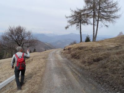 Kliknite za ogled večje slike
