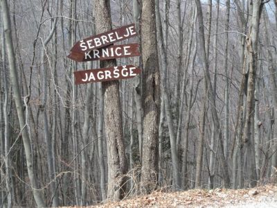 Kliknite za ogled večje slike