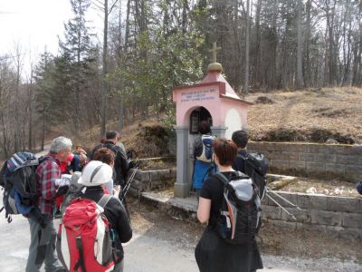 Kliknite za ogled večje slike