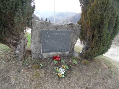 Kliknite za ogled večje slike