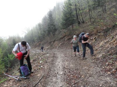 Kliknite za ogled večje slike