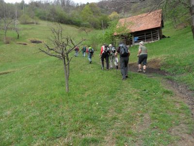 Kliknite za ogled večje slike