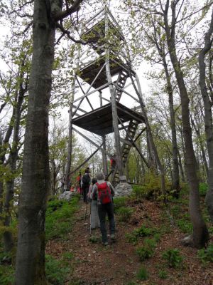 Kliknite za ogled večje slike
